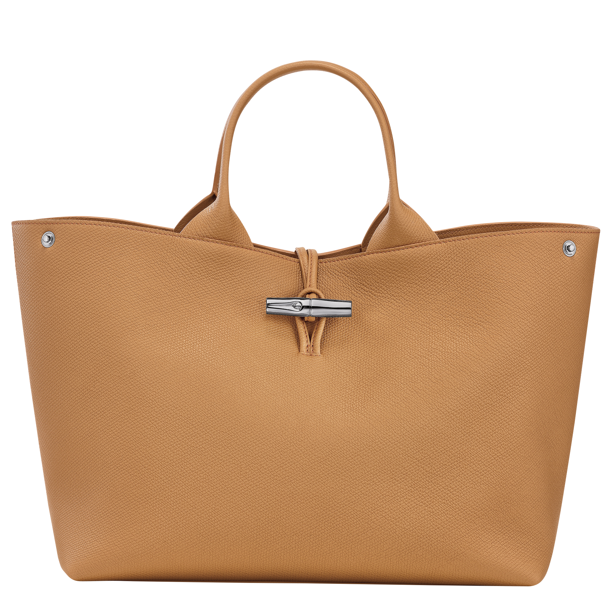 Le Roseau L Handbag / Clay - Leather - Image 7