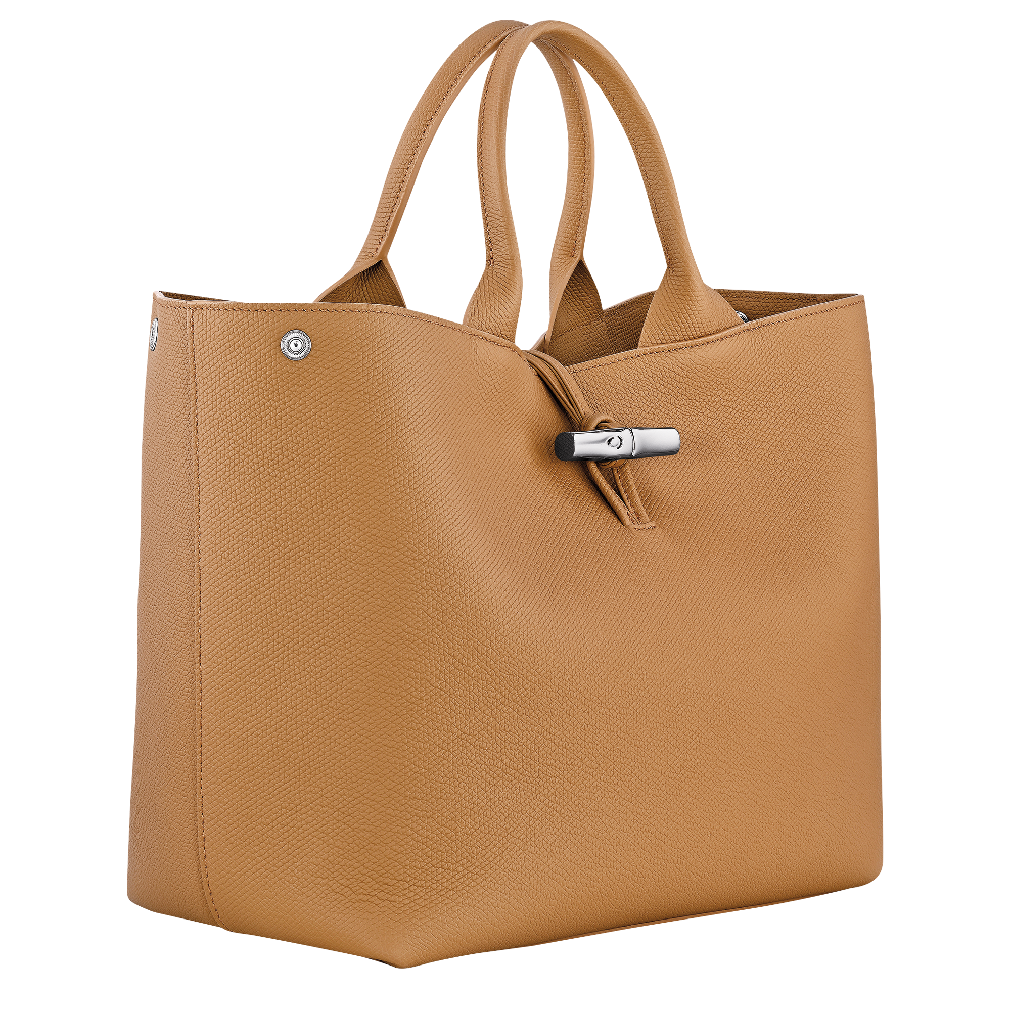 Le Roseau L Handbag / Clay - Leather - Image 9
