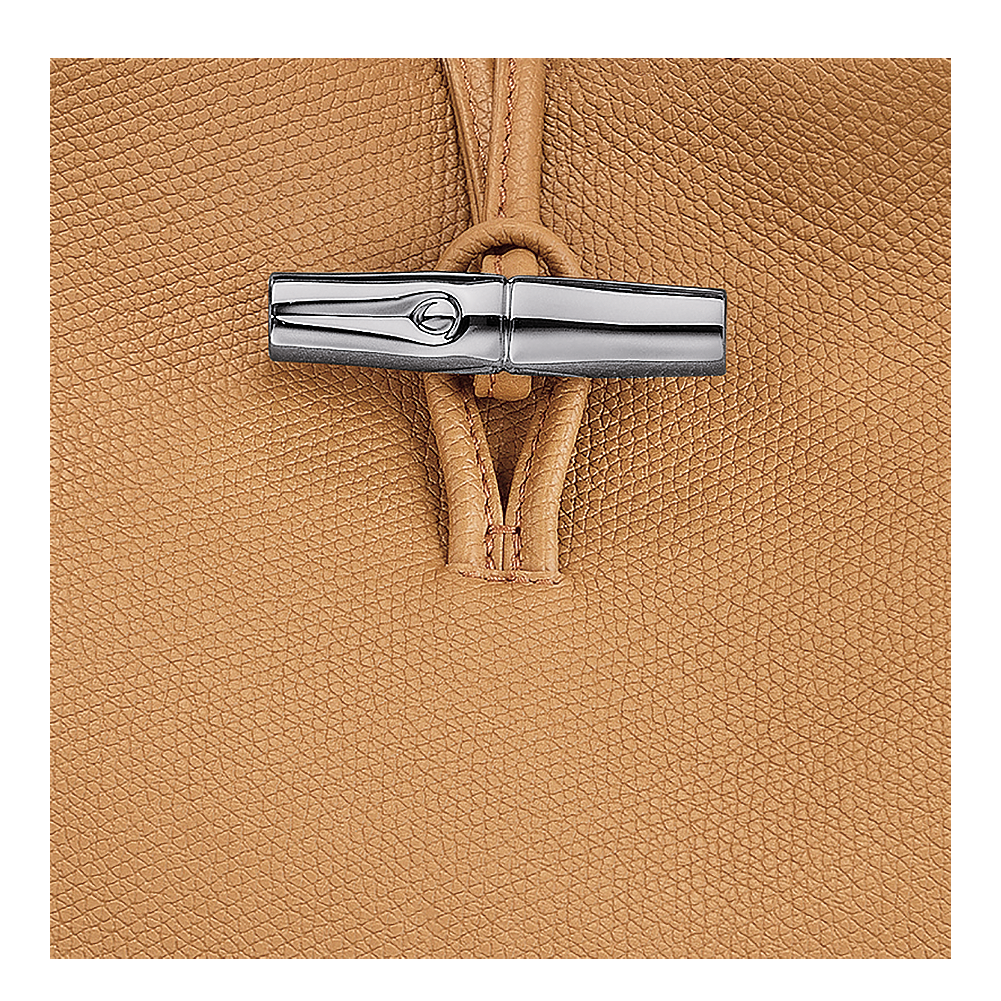 Le Roseau L Handbag / Clay - Leather - Image 12