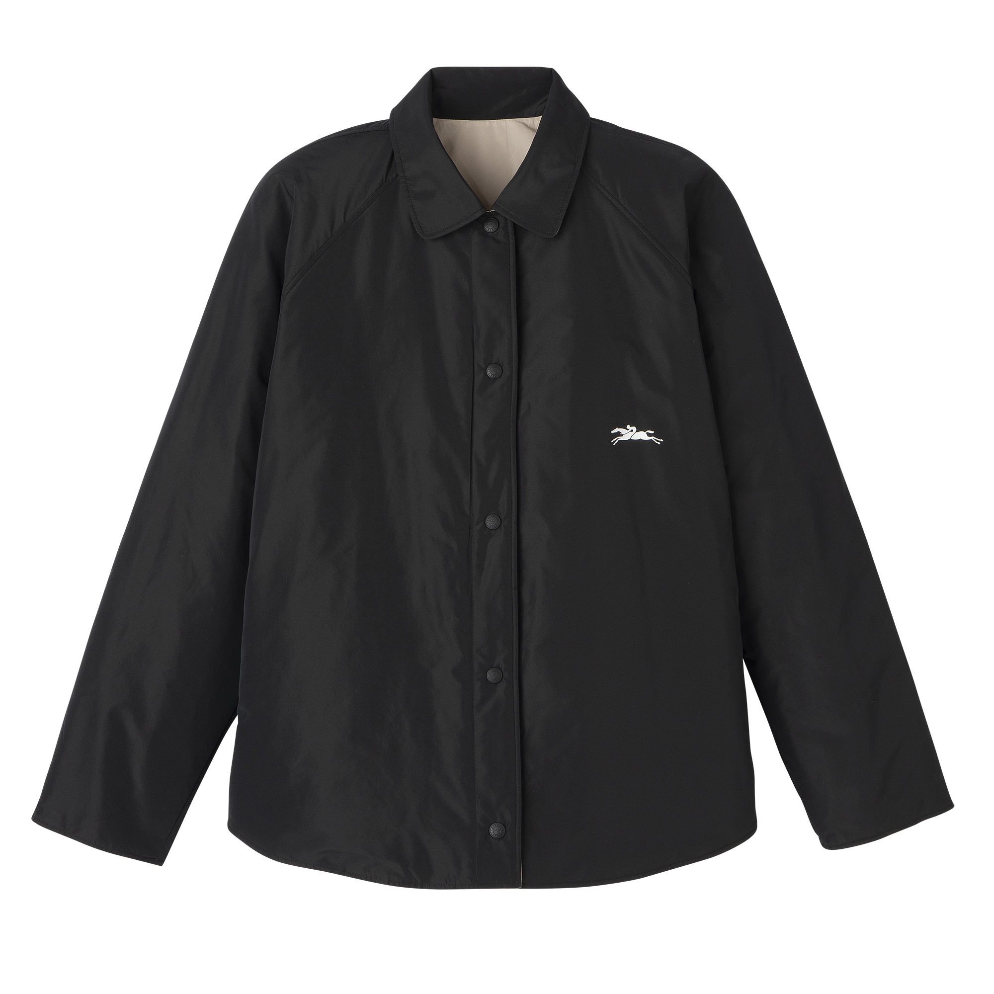 Padded blouson / Black/Paper - Technical taffeta