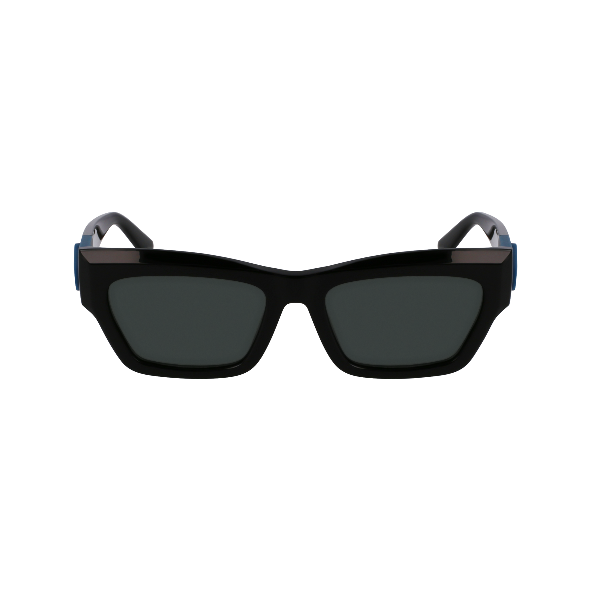 Sunglasses / Black - Organic acetate