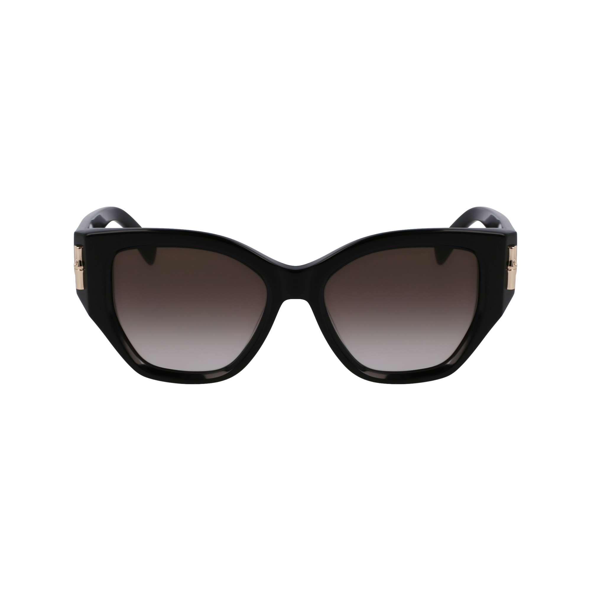 Sunglasses / Black - Acetate