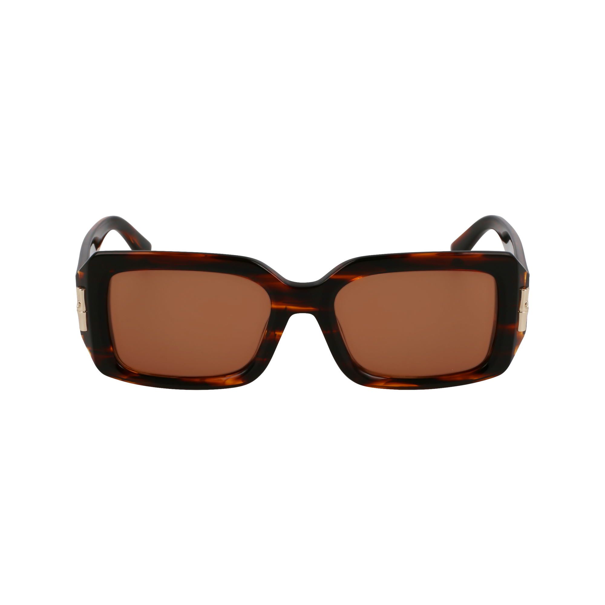 Sunglasses / Brown - Acetate
