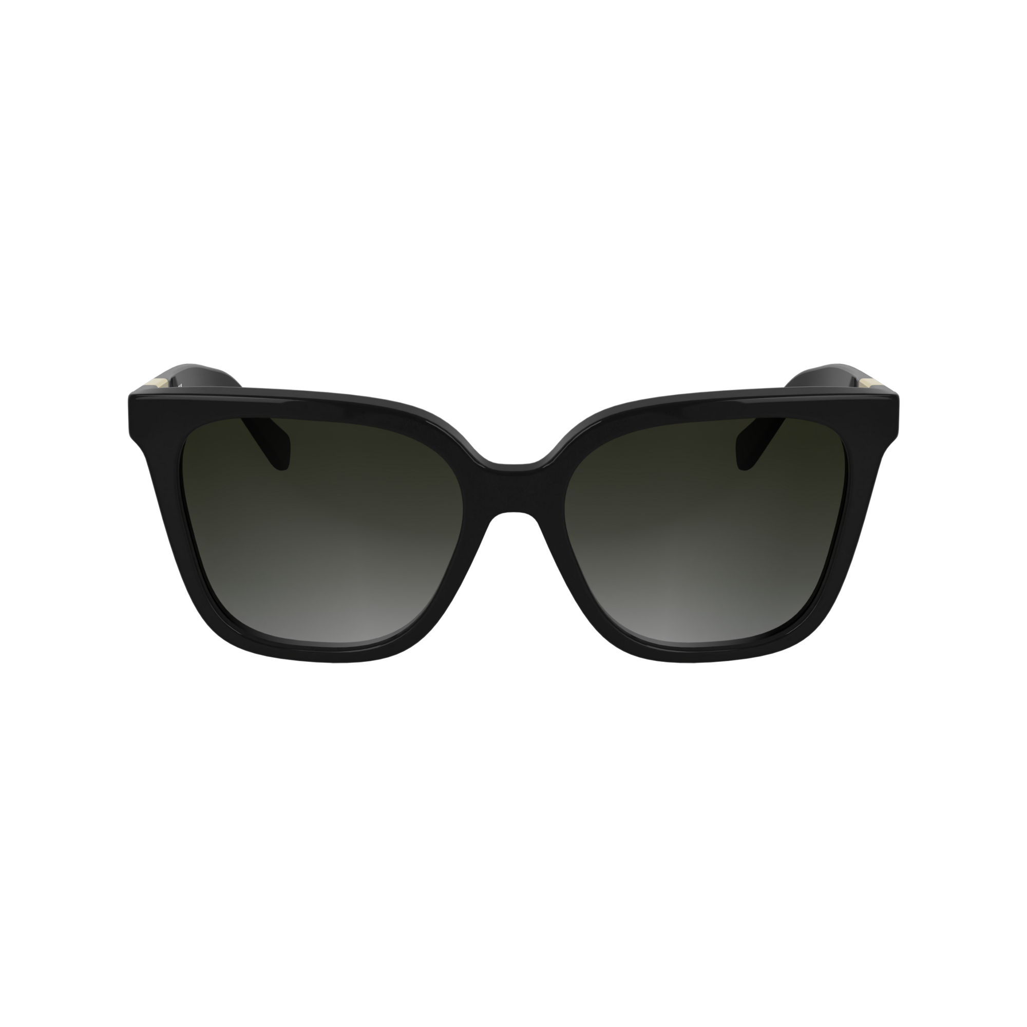 Sunglasses / Black - Acetate