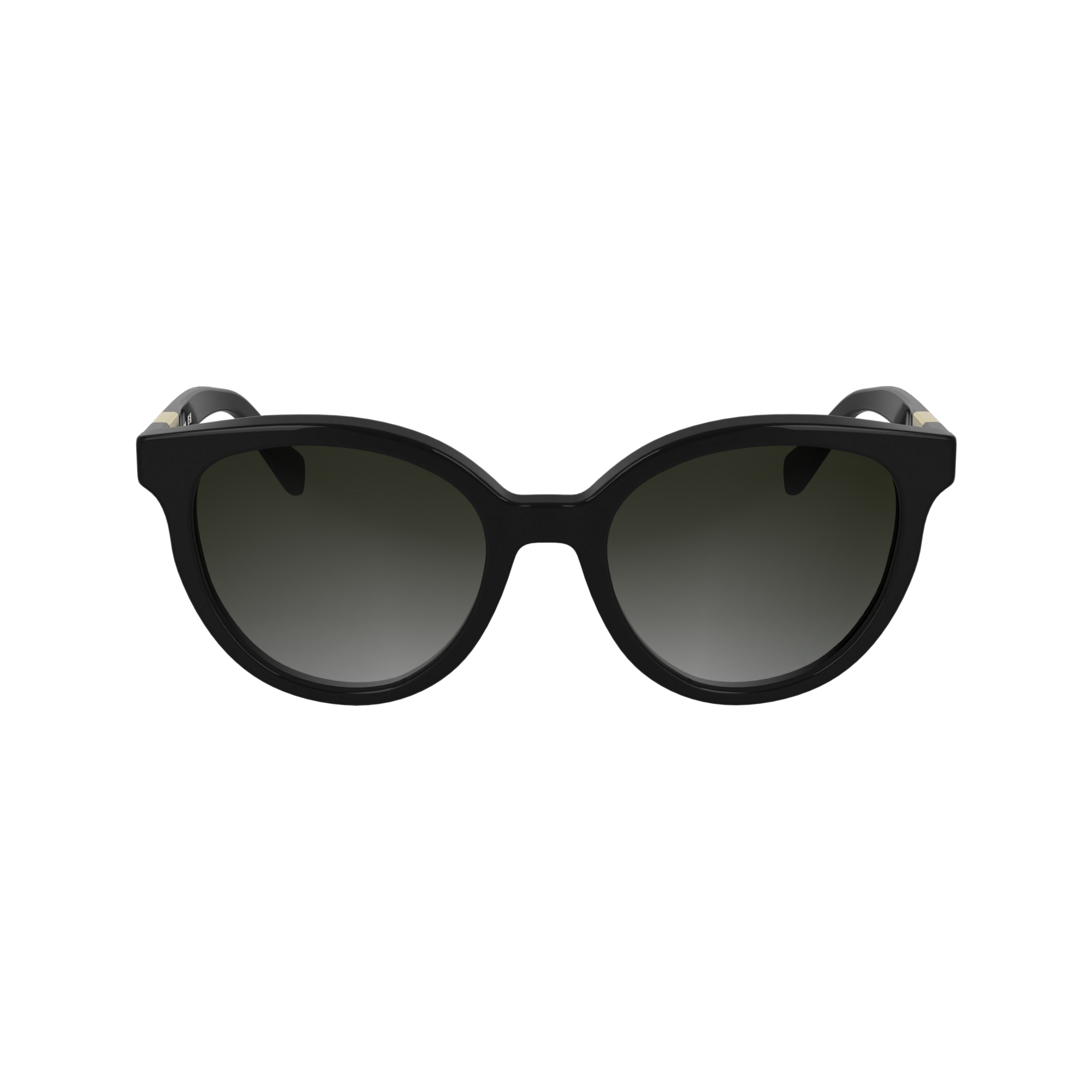 Sunglasses / Black - Acetate