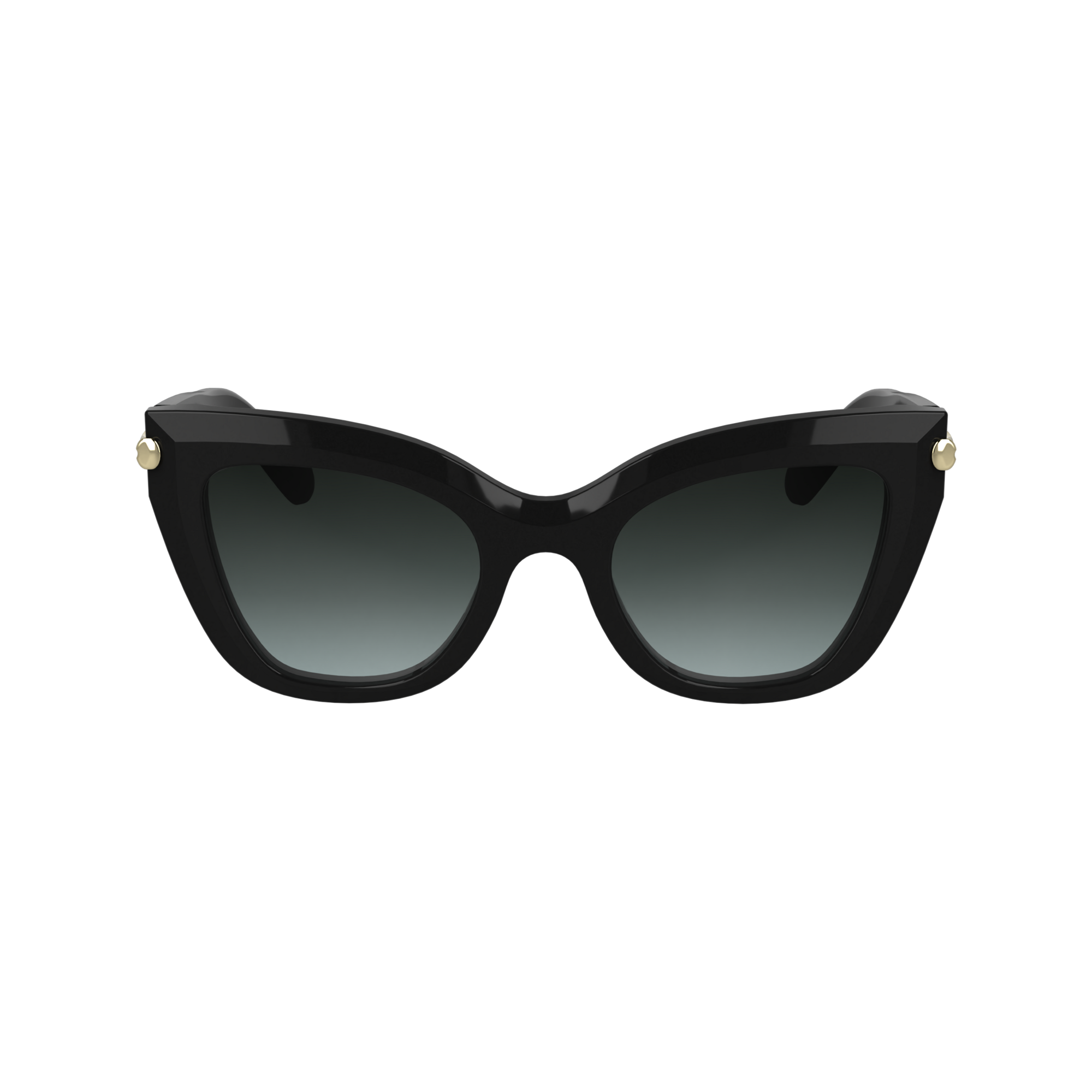 Sunglasses / Black - Acetate