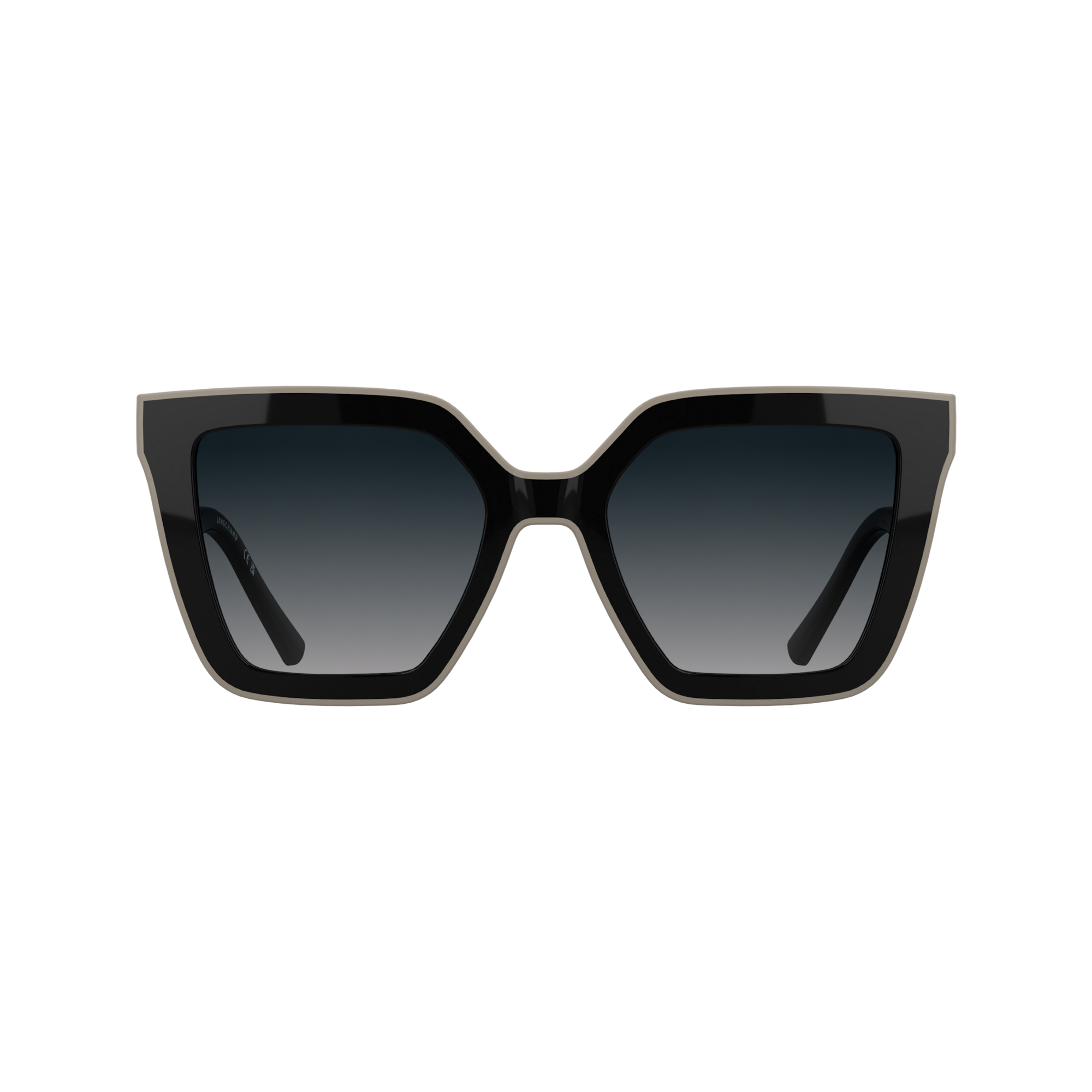 Sunglasses / Black - OTHER